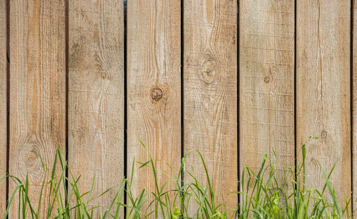 Wooden fence panels
